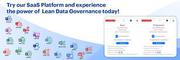 What is Lean Data Governance in Master Data Management