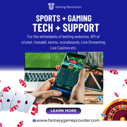 Premium Casino API Solutions – Teen Patti,  Poker,  Andar Bahar & More
