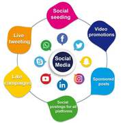 Top Social Media Marketing Agency in Gurgaon – Amaytics