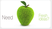 Best offer for web design in kerala